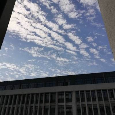 星空体育2024下载